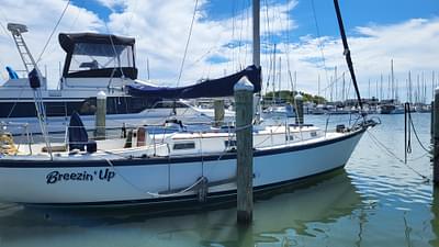 BOATZON | Pearson 365 Sloop 1979 BOATZON | Pearson 365 Sloop 1979
