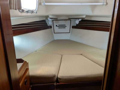 BOATZON | Pearson Cutter 1981