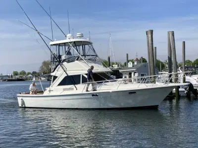 BOATZON | Phoenix 38 1983