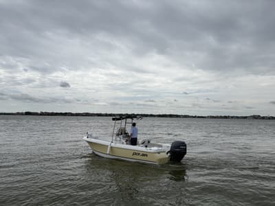 BOATZON | Polar 1900CC 2007