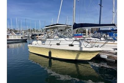 BOATZON | Pro-Line 2610 Walkaround 1998