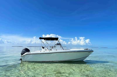 BOATZON | Pro Sports 2200 Blue Water 2003