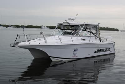 BOATZON | ProKat 3660 Sport Fish 2019