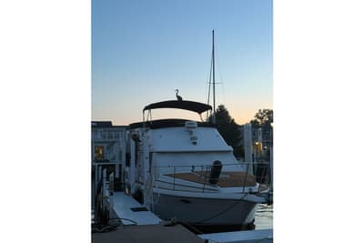 BOATZON | Prowler Aft Cabin 1990
