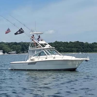 BOATZON | Pursuit 3000 Express 1997