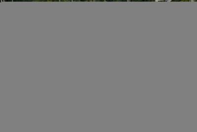 thumbail-icon