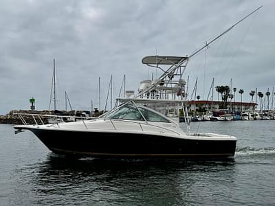 BOATZON | Rampage 33 Express Barta Canyon Edition 2006