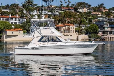 BOATZON | Riviera 36 Flybridge 2001