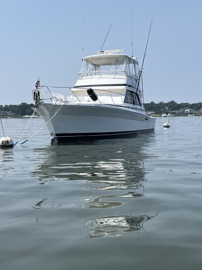 BOATZON | Riviera 43 Convertible 2000