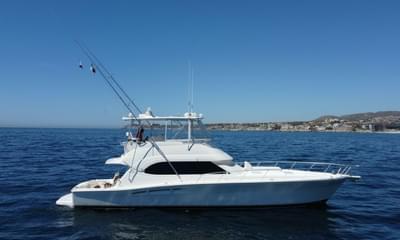 BOATZON | Riviera 51 CONVERTIBLE 2005