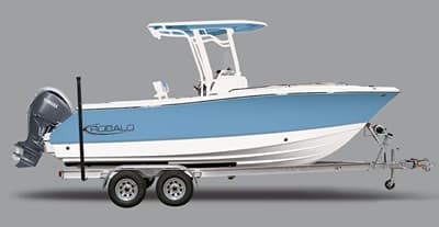 BOATZON | Robalo 232 EX 2027