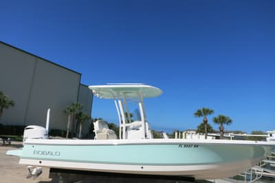 BOATZON | Robalo 246 Cayman 2018