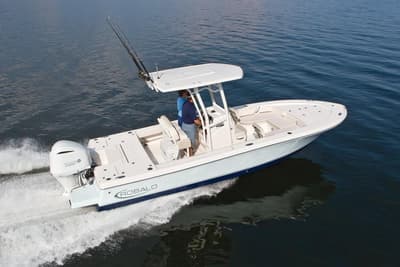 BOATZON | Robalo 246 Cayman 2022