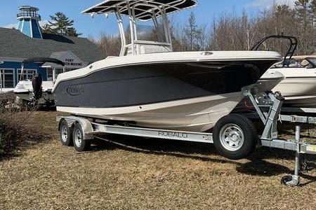 2025 Robalo R200 Center Console - Sold Boat