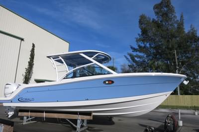BOATZON | Robalo R317 2025