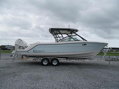 BOATZON | Robalo R317 Dual Console 2024 BOATZON | Robalo R317 Dual Console 2024
