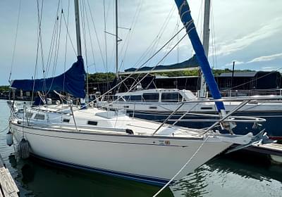 BOATZON | Sabre 34 MARK II 1987 BOATZON | Sabre 34 MARK II 1987