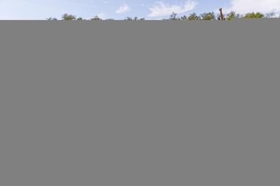 thumbail-icon