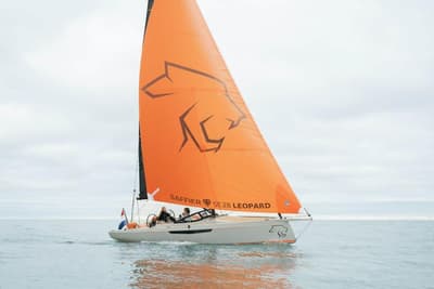 BOATZON | Saffier SE 28 Leopard 2026