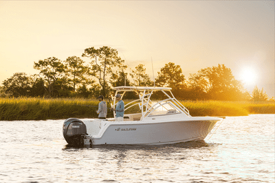 BOATZON | Sailfish 245 DC 2026