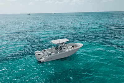 BOATZON | Sailfish 252 CC 2026 BOATZON | Sailfish 252 CC 2026