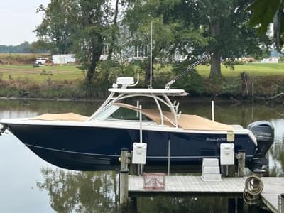 BOATZON | Sailfish 325DC 2017