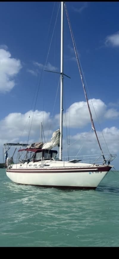 BOATZON | Scanmar 1985