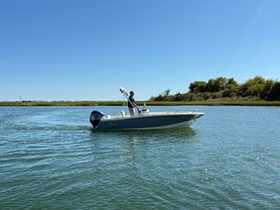 BOATZON | Scout 188 Sport Dorado 2027 BOATZON | Scout 188 Sport Dorado 2027