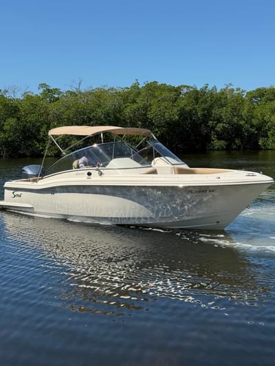 BOATZON | Scout 245 Dorado 2017 BOATZON | Scout 245 Dorado 2017