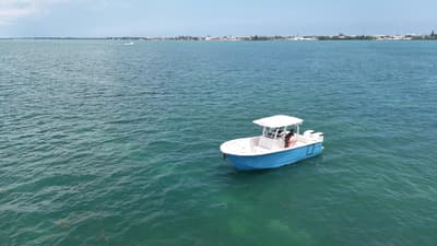 BOATZON | Sea Born SX281 Offshore 2024