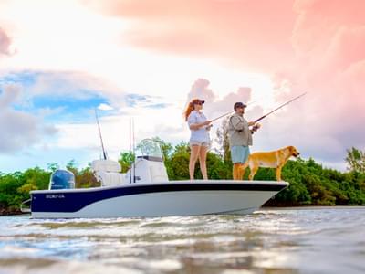 BOATZON | Sea Fox 200 Viper 2016