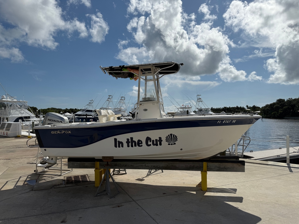 2010 Sea Fox 206CC Pro Series - Sold Boat