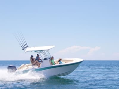 BOATZON | Sea Fox 226 Commander 2019