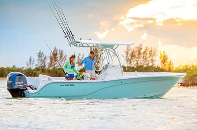 BOATZON | Sea Fox 246 Commander 2017