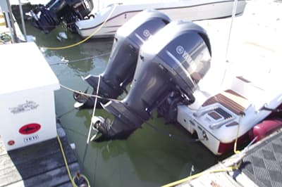 thumbail-icon
