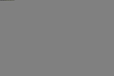 thumbail-icon