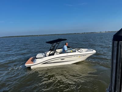 BOATZON | Sea Ray 190 SPX 2017