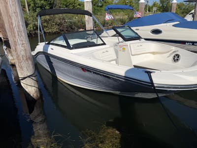 BOATZON | Sea Ray 190 SPX 2019 BOATZON | Sea Ray 190 SPX 2019
