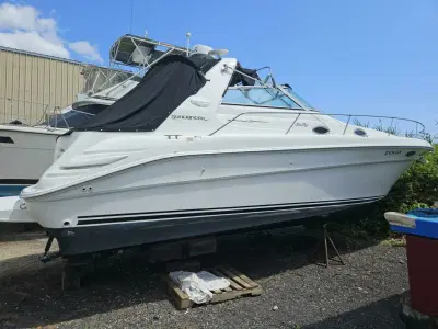 BOATZON | Sea Ray 1999