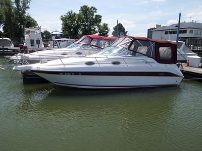 BOATZON | Sea Ray 250 Sundancer 1995