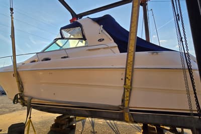 BOATZON | Sea Ray 310 Sundancer 2001