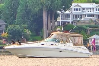BOATZON | Sea Ray 340 Sundancer 2003