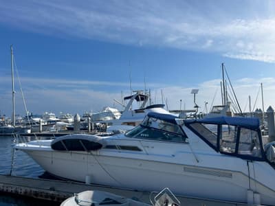 BOATZON | Sea Ray 480 Sundancer 1991