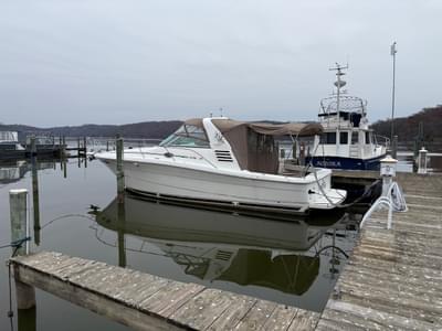 BOATZON | Sea Ray Sea Ray 1997