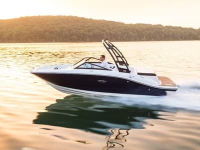 BOATZON | Sea Ray SPX 190 2019