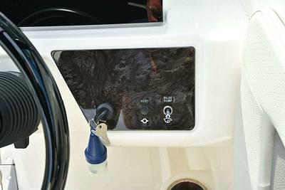 BOATZON | Sea Ray SPX 190 2020 BOATZON | Sea Ray SPX 190 2020
