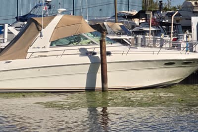 BOATZON | Sea Ray Sundancer 310 2001