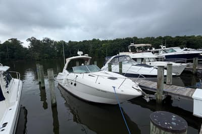 BOATZON | Sea Ray Sundancer 310 2007
