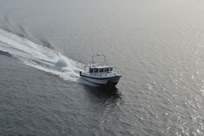 BOATZON | Sea Sport Pacific 3200 2027 BOATZON | Sea Sport Pacific 3200 2027
