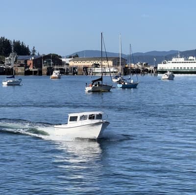 BOATZON | Sea Sport XL 2400 2026